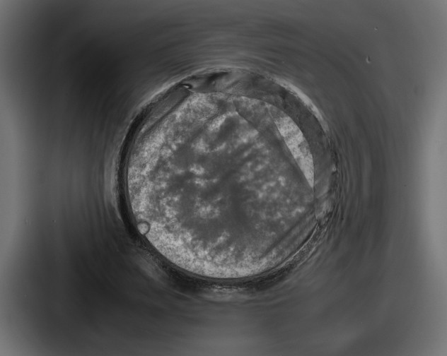 X0000086760487200705111718