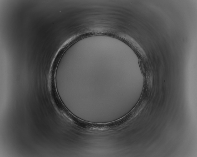 X0000086760488200705111718