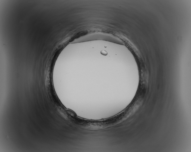 X0000086760489200705111718