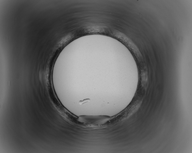 X0000086760490200705111718