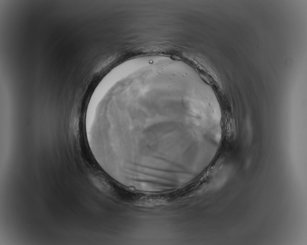 X0000086760491200705111718