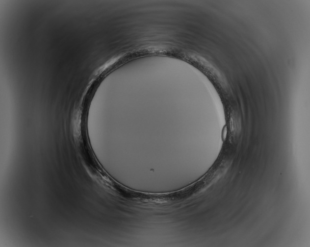 X0000086760492200705111718