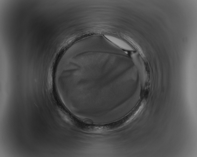 X0000086760493200705111718