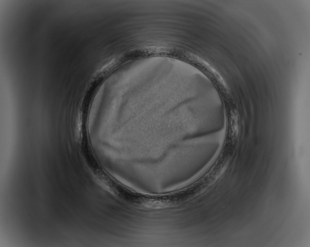 X0000086760494200705111718