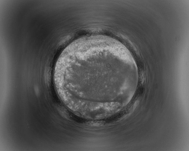 X0000086760495200705111718