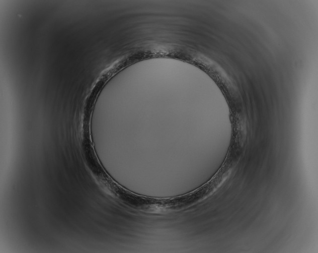 X0000086760496200705111718