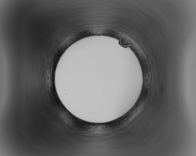 X0000086760497200705111718