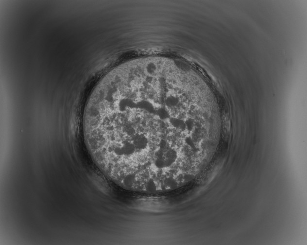 X0000086760499200705111718