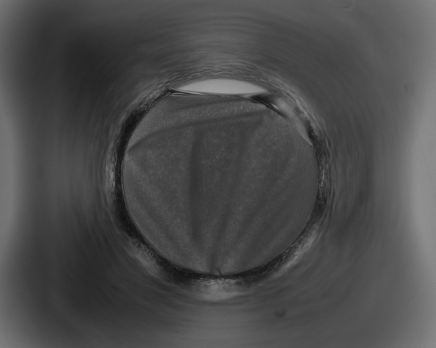 X0000086760501200705111718