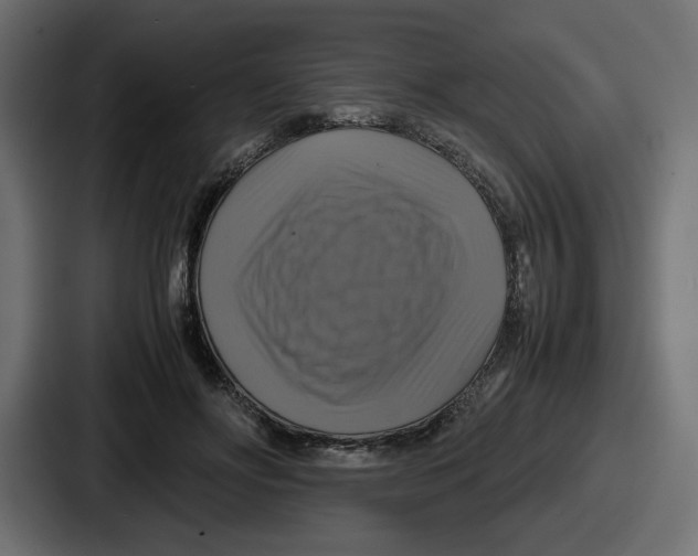 X0000086760502200705111718