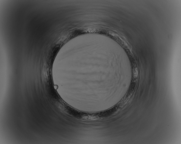 X0000086760503200705111718