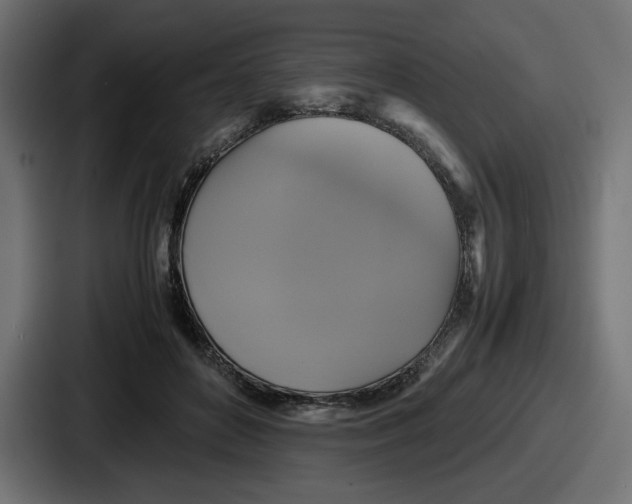 X0000086760504200705111718