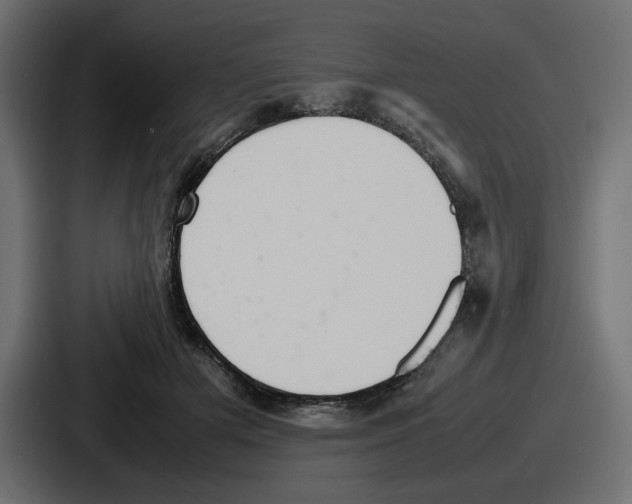 X0000086760505200705111718