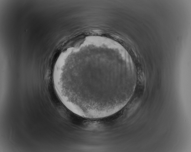X0000086760507200705111718