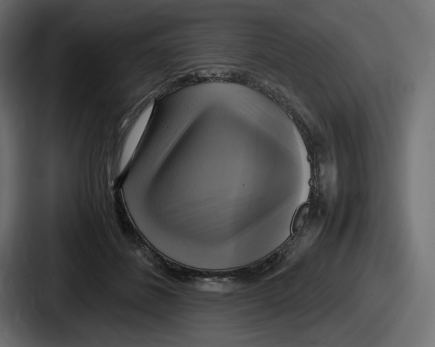 X0000086760508200705111718