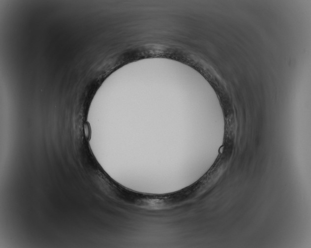 X0000086760509200705111718
