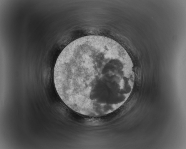 X0000086760511200705111718