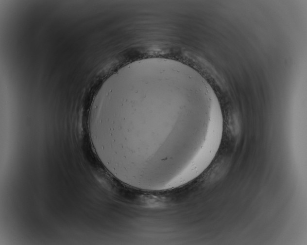 X0000086760512200705111717