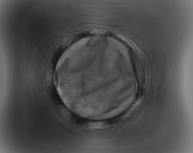 X0000086760513200705111717