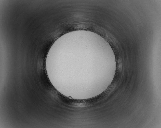 X0000086760514200705111717