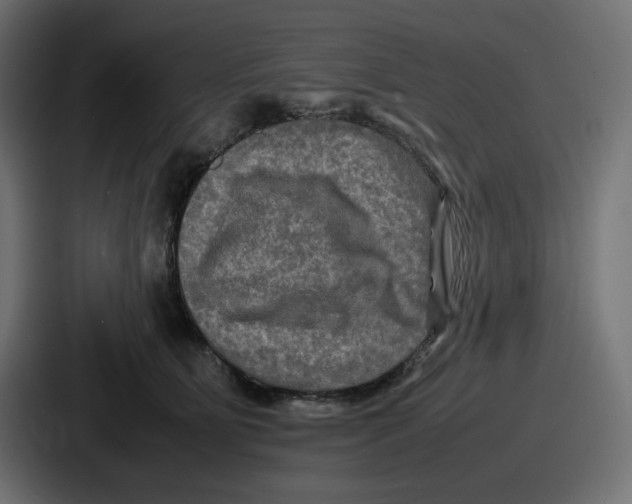 X0000086760515200705111717