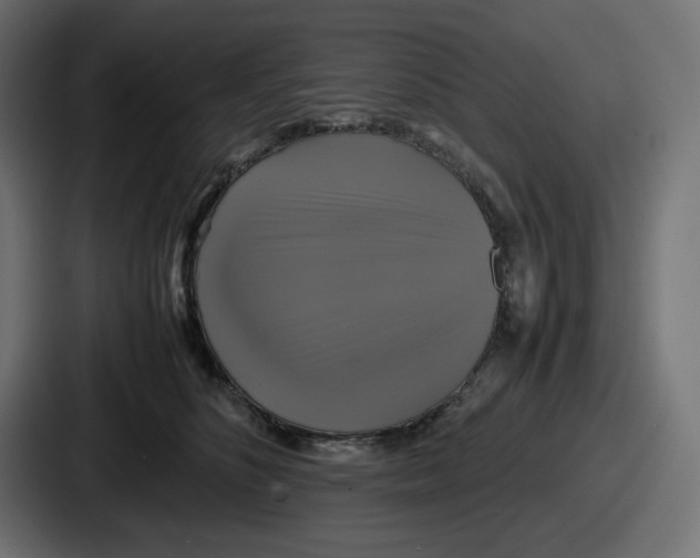 X0000086760516200705111717