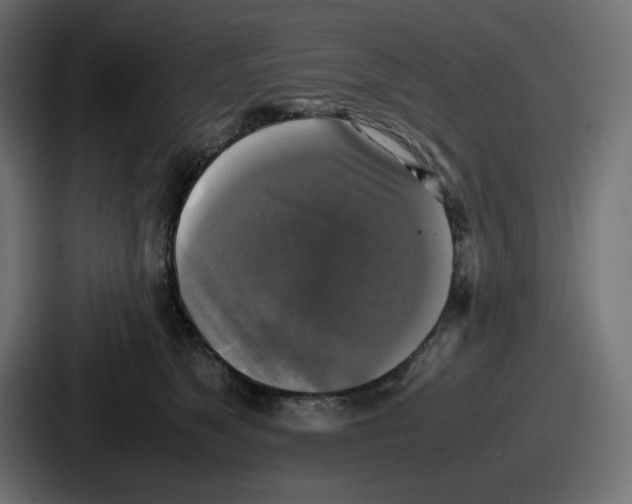 X0000086760517200705111717