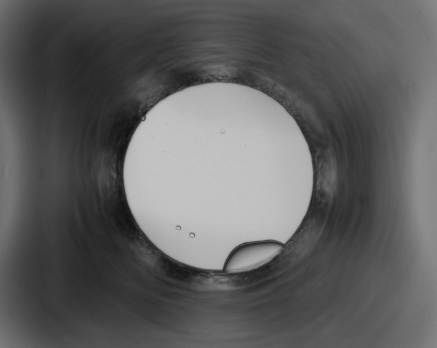 X0000086760518200705111717