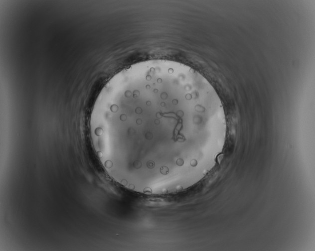 X0000086760519200705111717