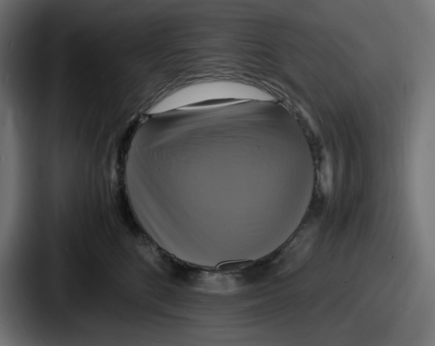 X0000086760520200705111717
