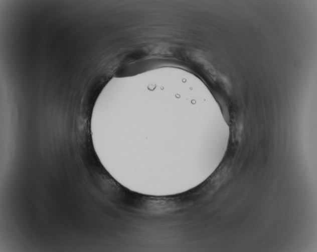 X0000086760521200705111717