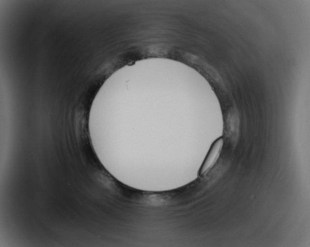 X0000086760522200705111717