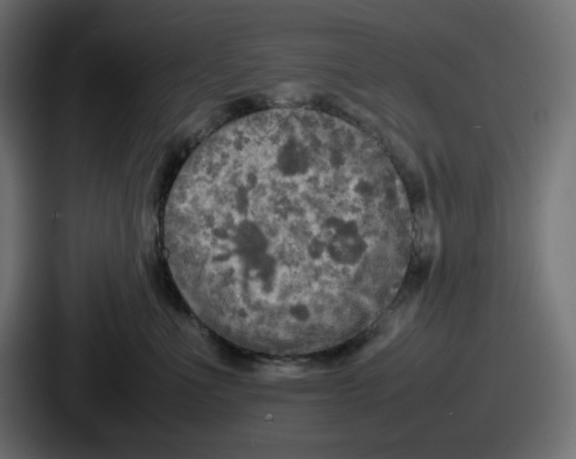 X0000086760523200705111717
