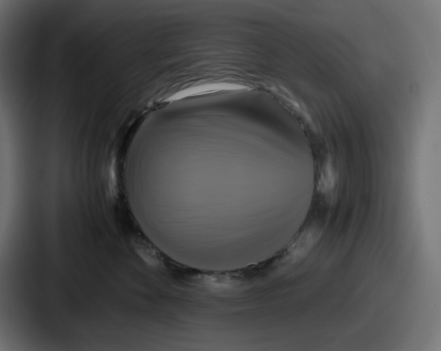 X0000086760524200705111717