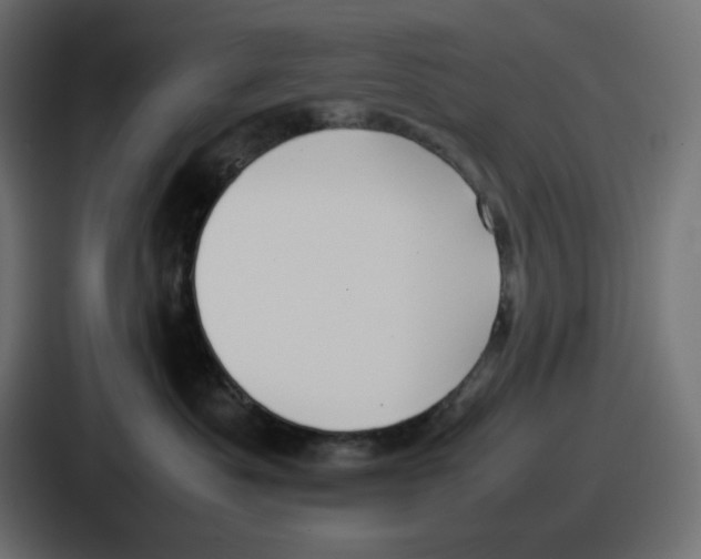 X0000086760525200705111717