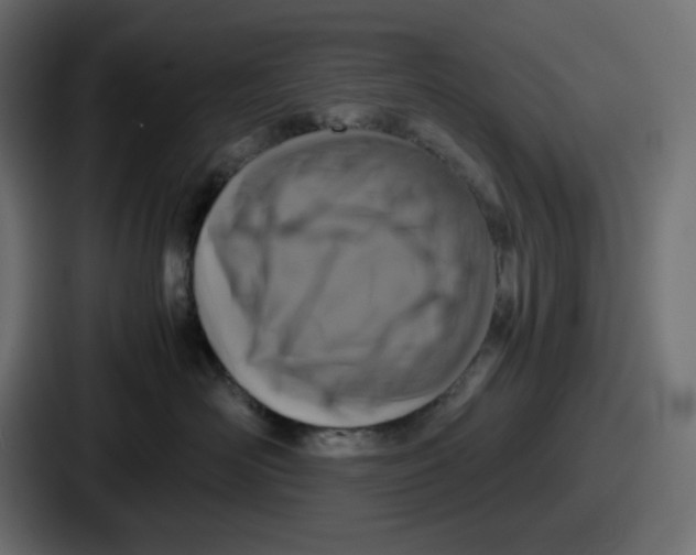 X0000086760526200705111717