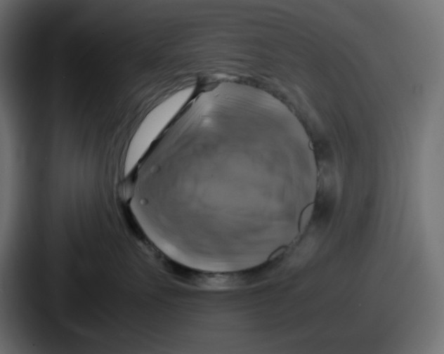 X0000086760527200705111717