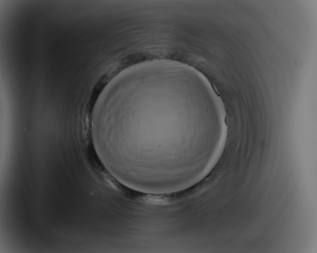X0000086760528200705111717