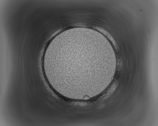 X0000086760529200705111717