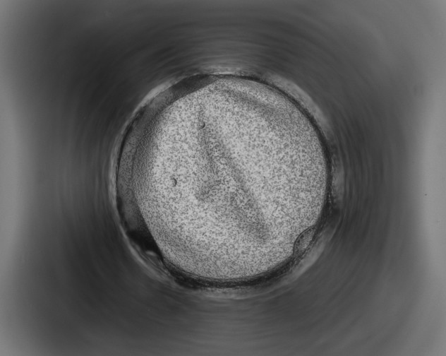 X0000086760530200705111717