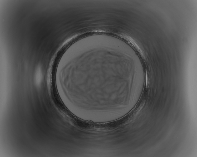 X0000086760531200705111717