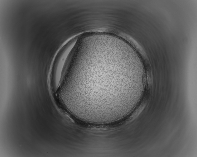 X0000086760532200705111717