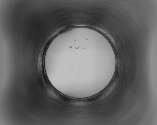 X0000086760533200705111717