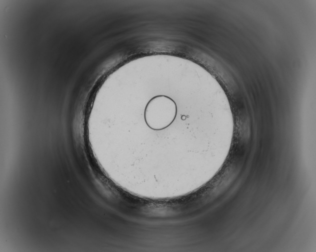 X0000086760534200705111717