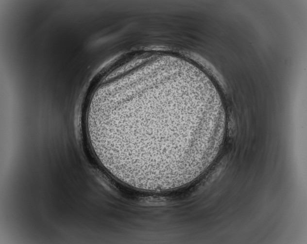 X0000086760535200705111717