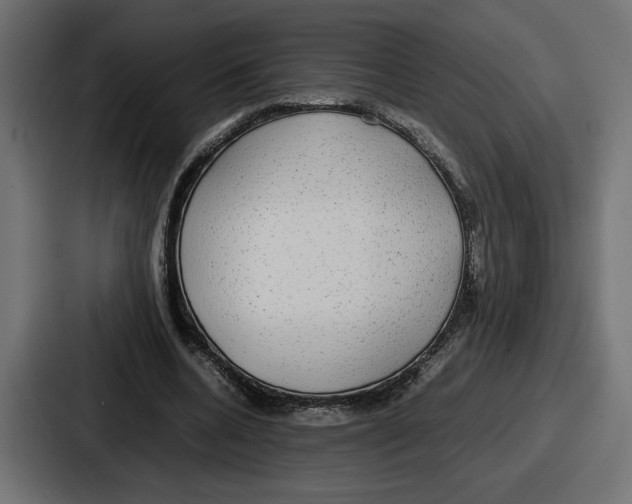 X0000086760536200705111717
