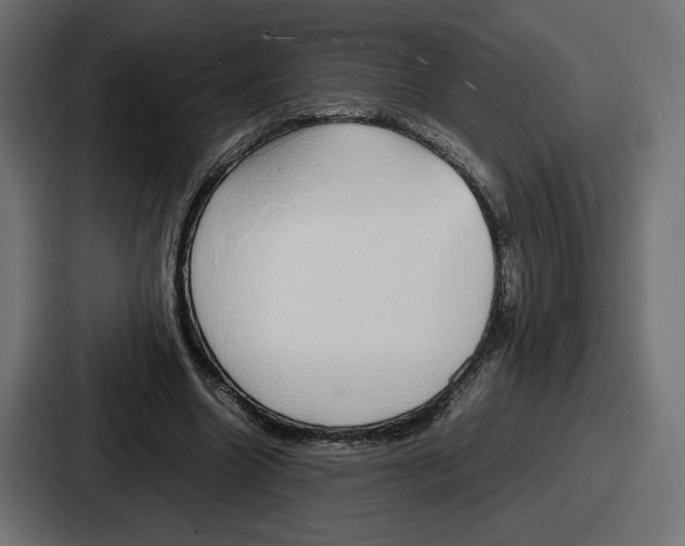 X0000086760538200705111717