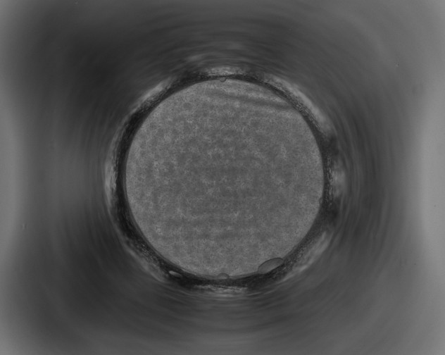 X0000086760539200705111717