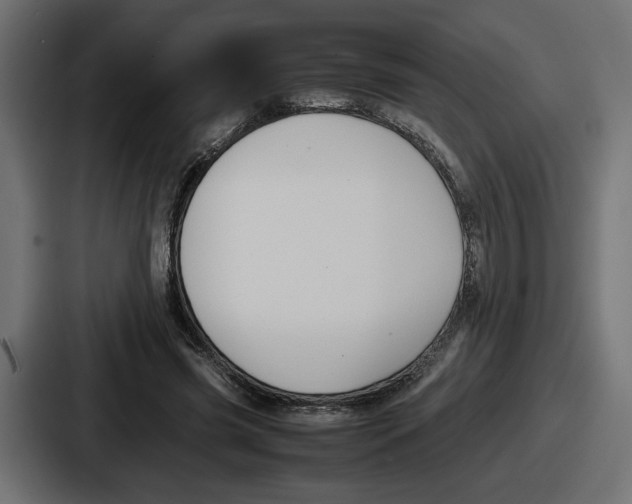 X0000086760541200705111717