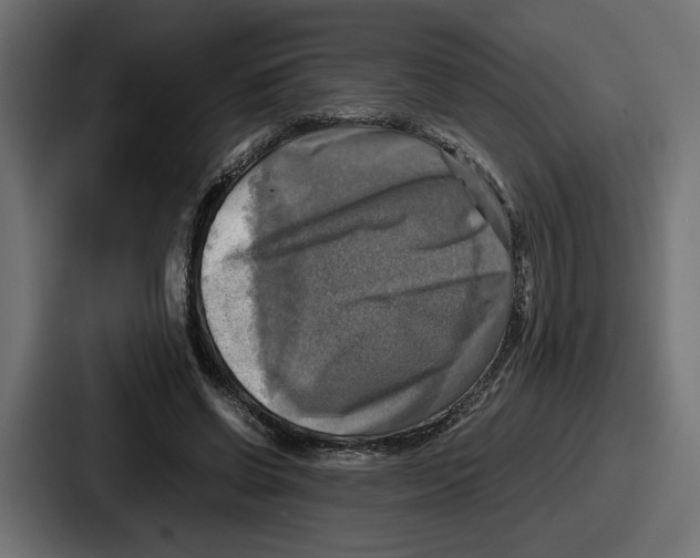 X0000086760542200705111717